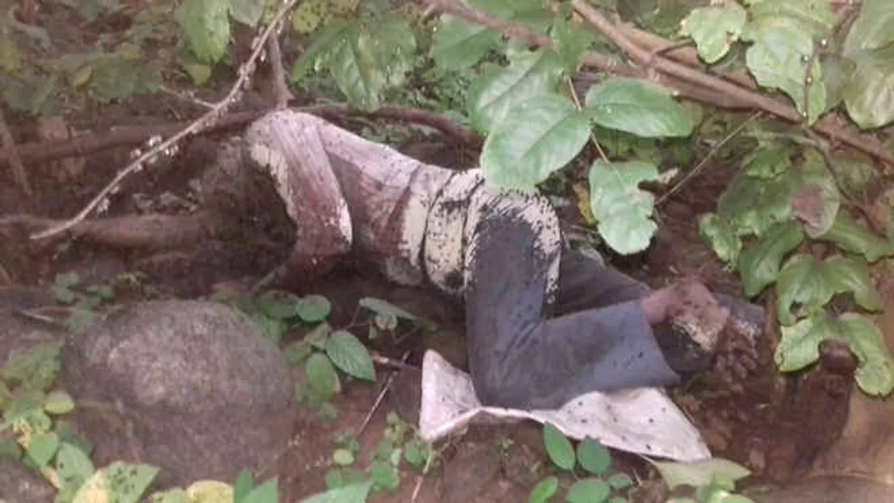  Decomposed body of missing teacher found from hill in Odisha