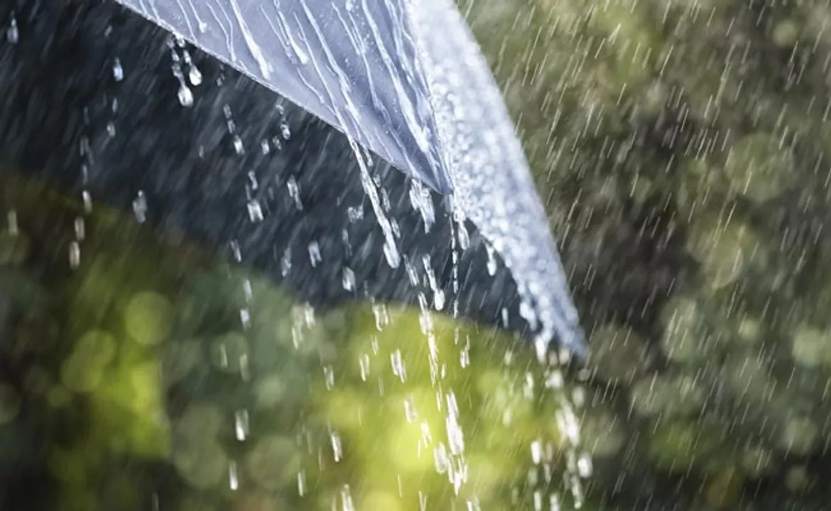  Depression intensifies; rains expected over Odisha from Dec 10 to 13