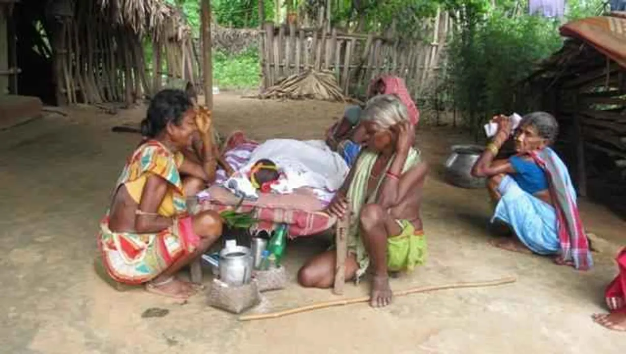  JE toll reaches 105 in Odisha's Malkangiri