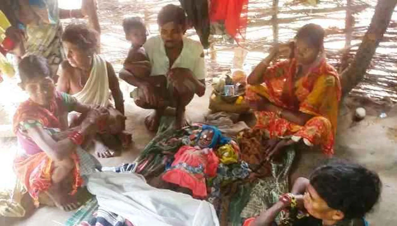  Three more succumb to JE in Odisha's Malkangiri; toll reaches 111