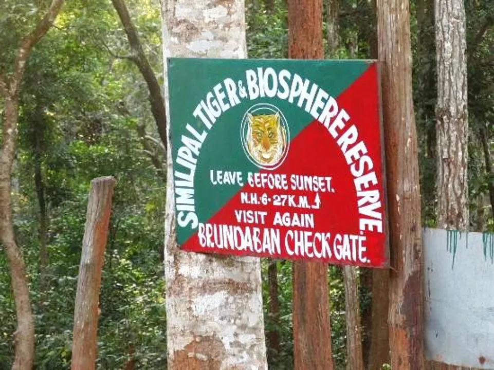  Odisha: Similipal Tiger Reserve to take monsoon break from June 15