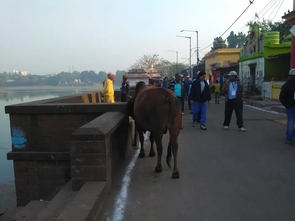  Heritage walk ‘Ekamra walks’ a big hit in Odisha Capital