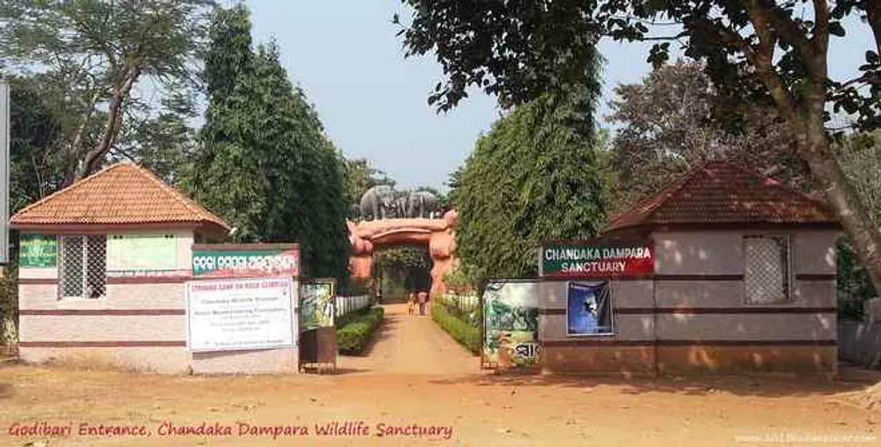  Open safari in Odisha's Chandaka-Dampara sanctuary soon