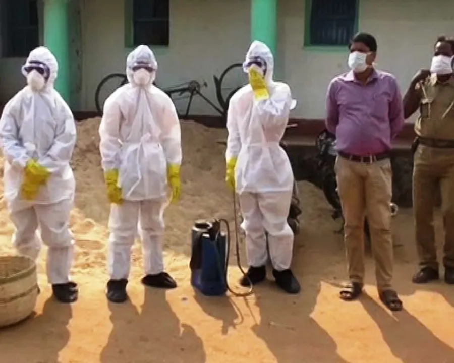  Bird flu in Odisha: Chicken culling over in Khordha, H5N1 virus identified in Rourkela