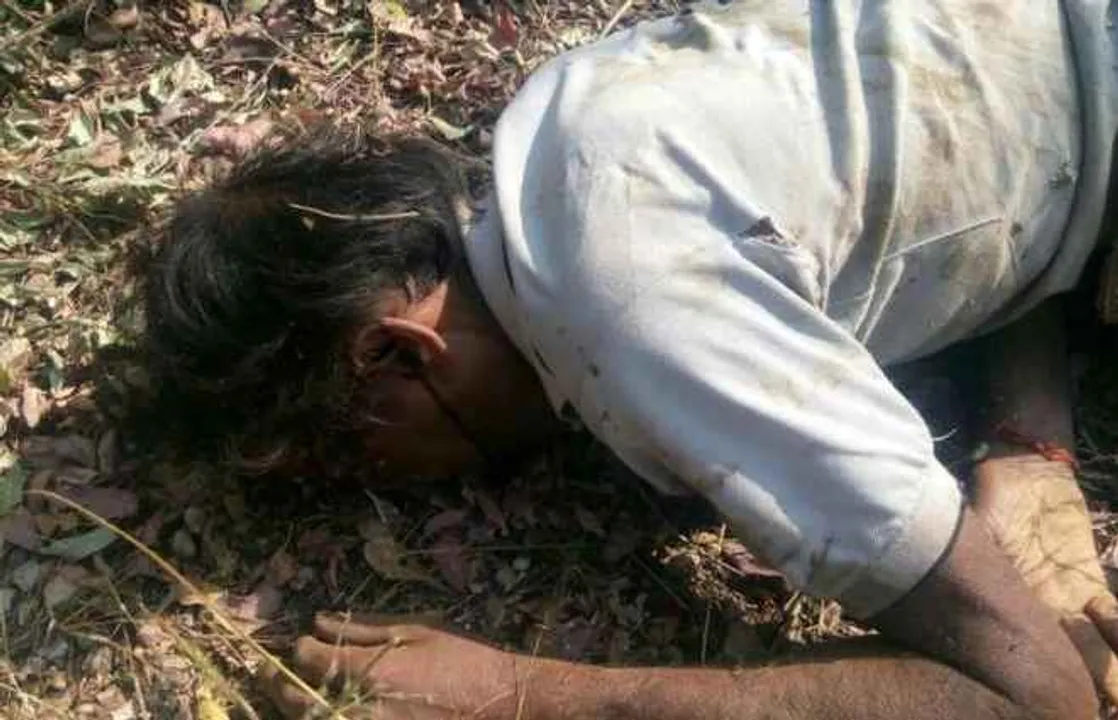  One killed, another injured in elephant attack in Odisha's Bargarh