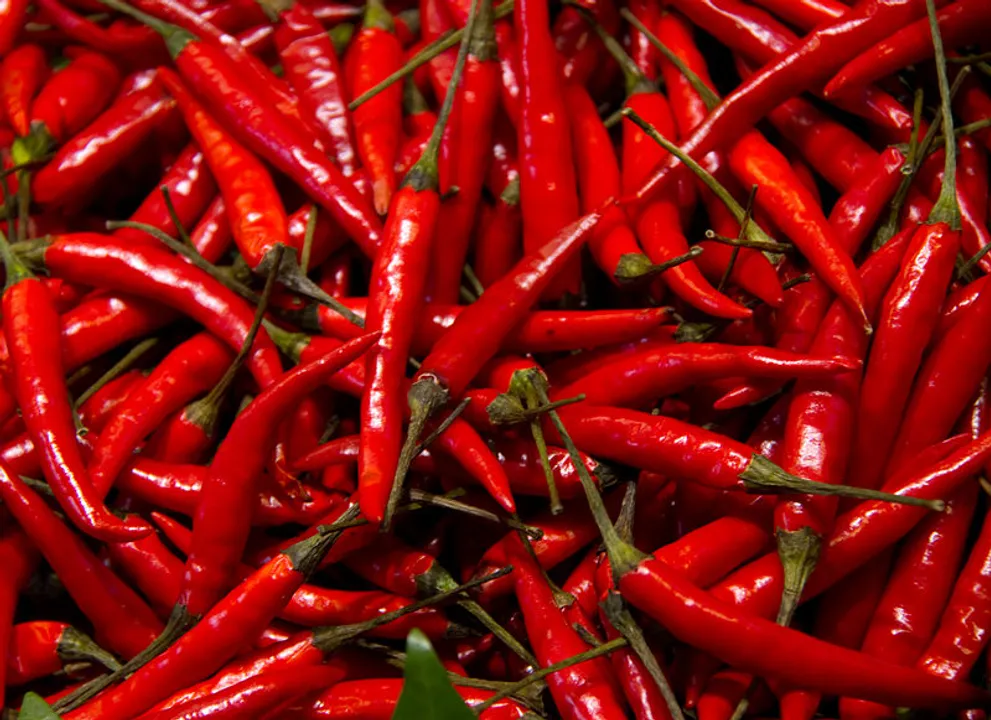 Eating red chilli may help you live longer