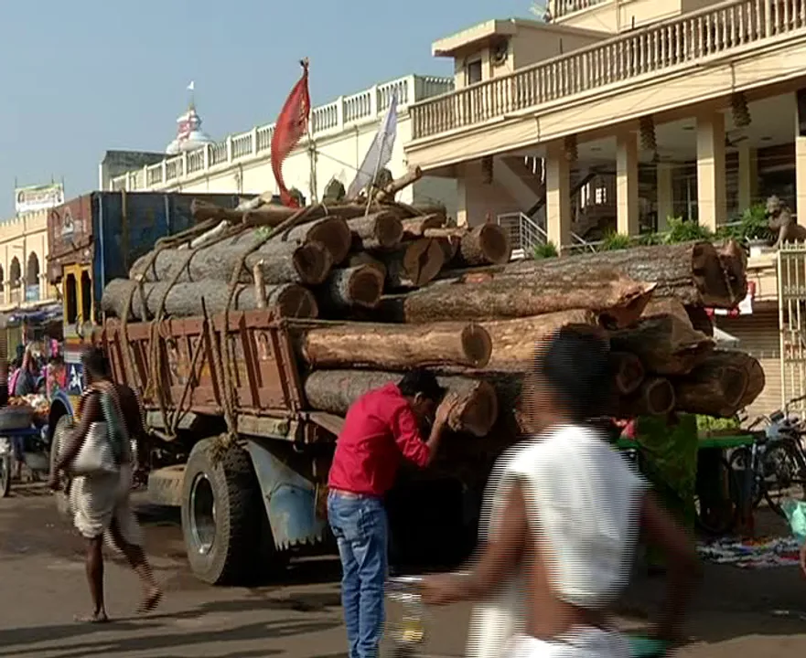  First lot of logs for Lords’ chariots arrive in Odisha’s Puri