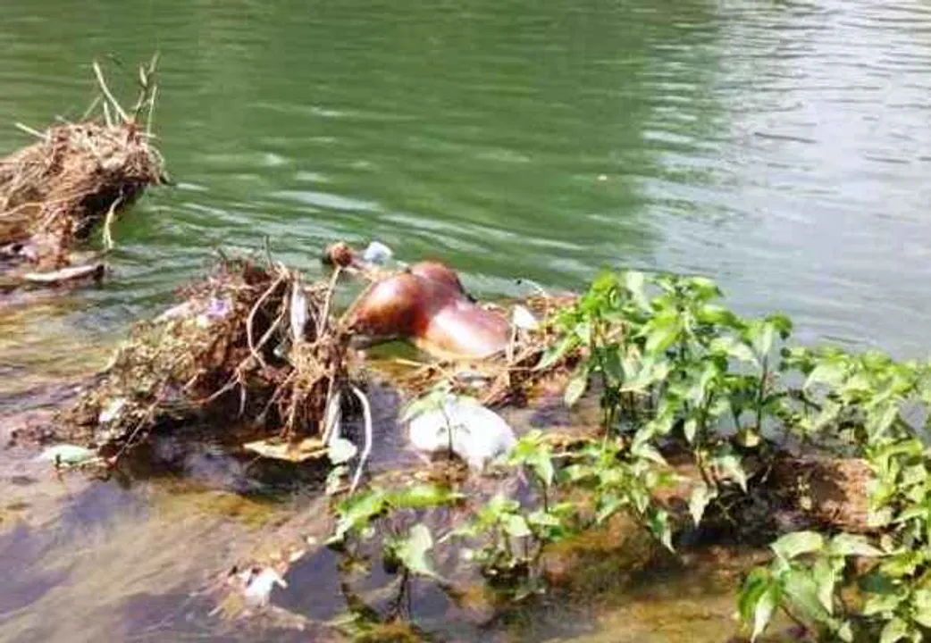  Decomposed body found in canal on outskirts of Odisha capital