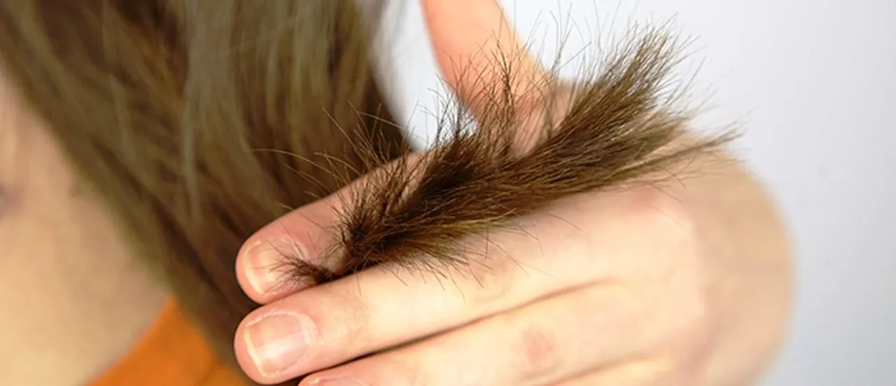  Egg mask, honey: Get rid of split ends with home remedies
