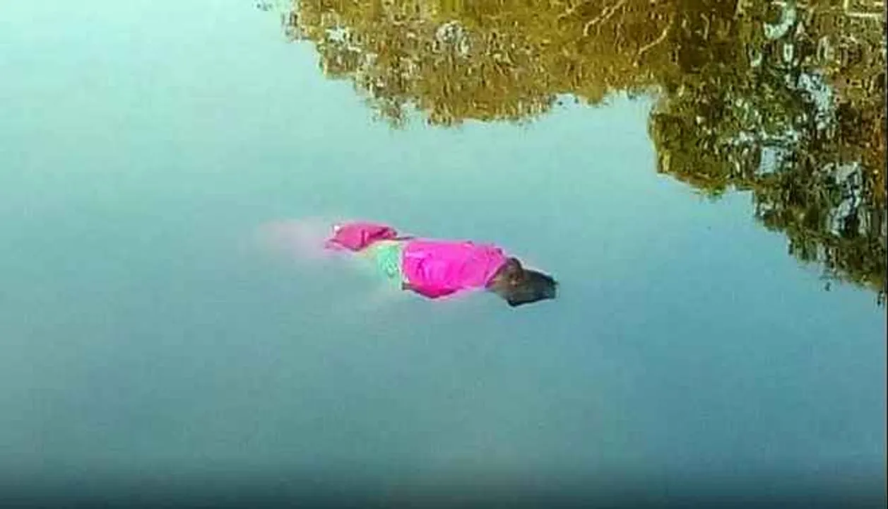  Body of missing woman found floating in pond in Odisha