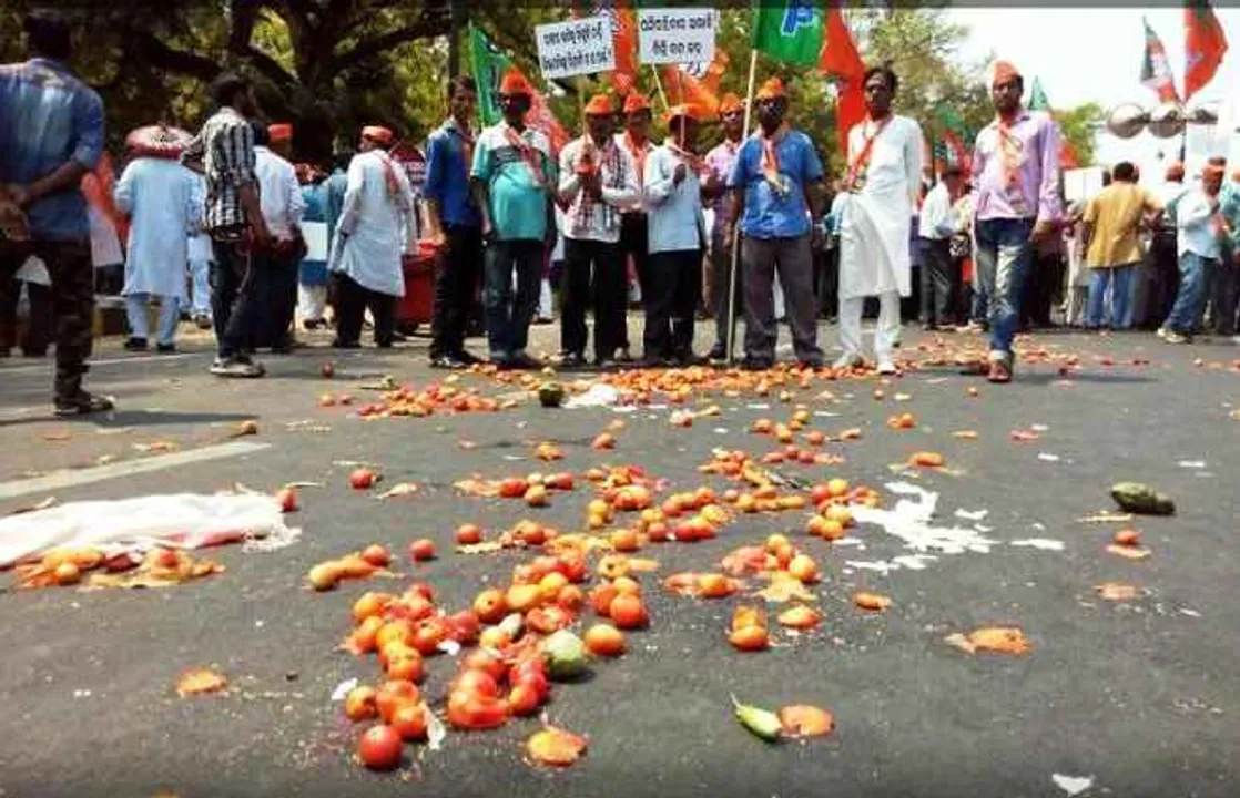 Odisha BJP Krushak Morcha stages protest for compensation to farmers