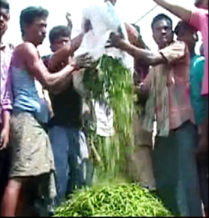  Chilli farmers in distress, dump vegetable on road in Odisha’s Ganjam