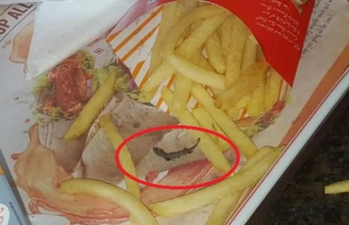  Lizard found in McDonald's French fries in WB 