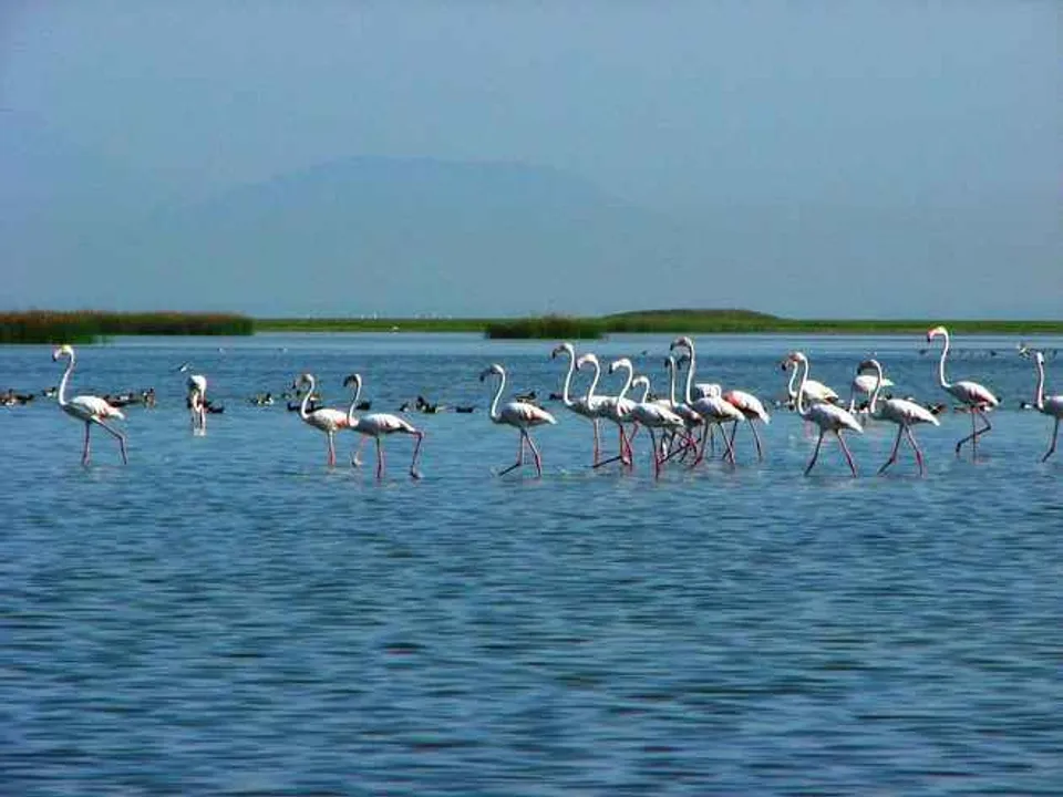  ONGC-Unesco join hands to get Chilika heritage site tag