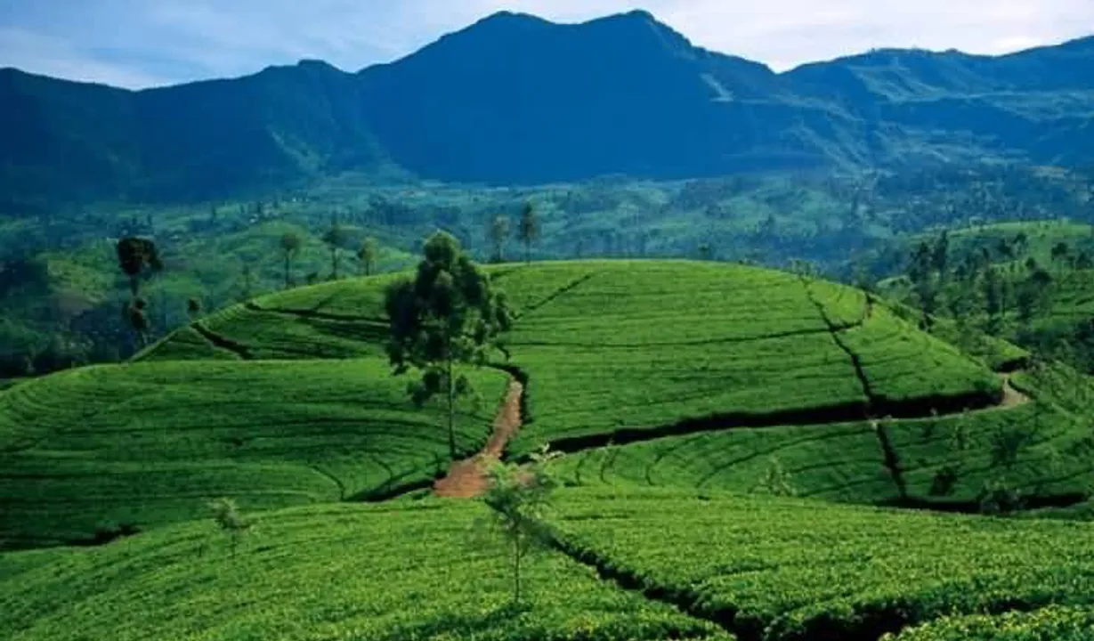  Holiday destinations where Indian currency holds strong value