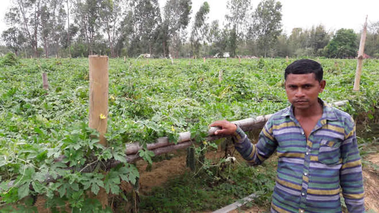  Tribal Tourism graduate turns successful farmer in Odisha