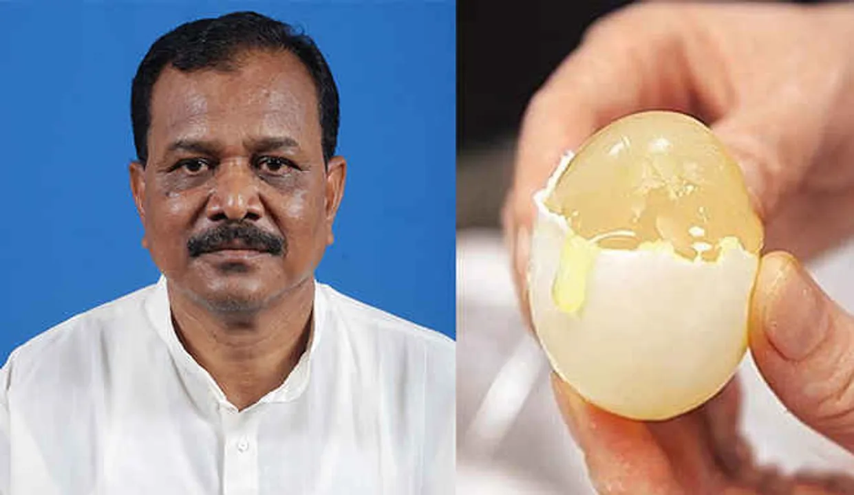 Odisha govt orders probe into ‘plastic egg’ plaint