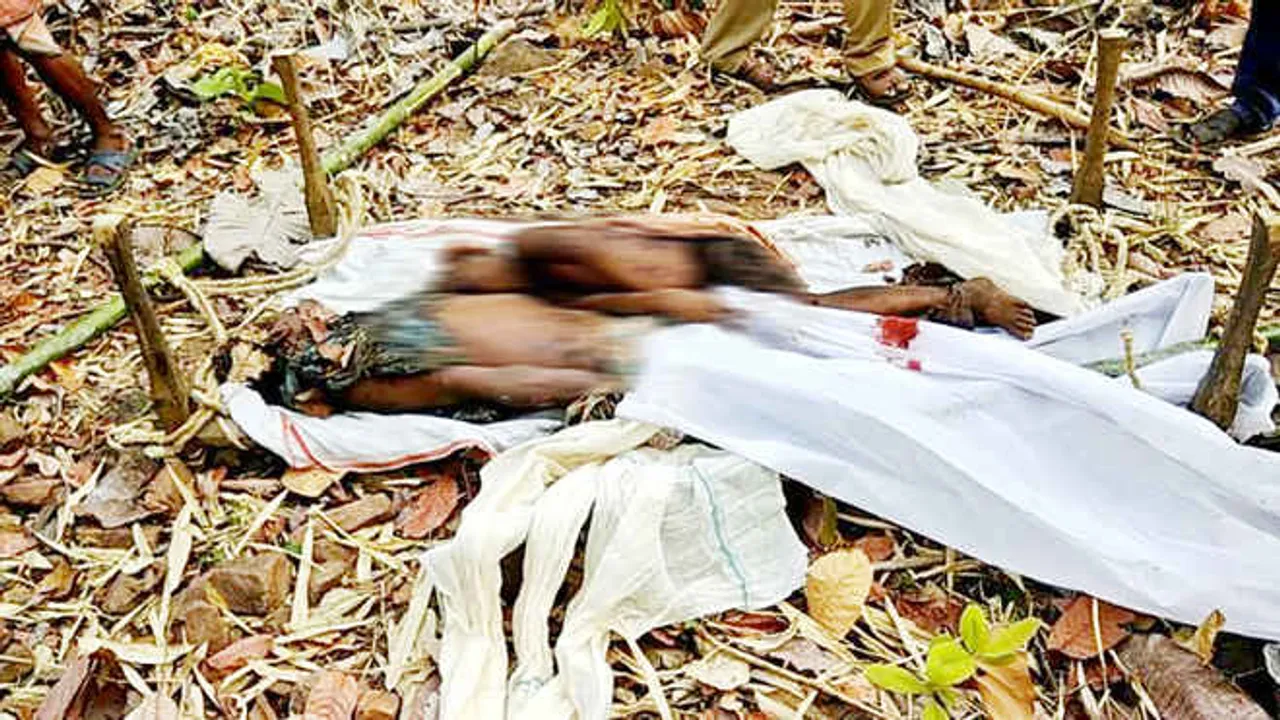  Man-animal conflict: Bears maul two to death in Odisha