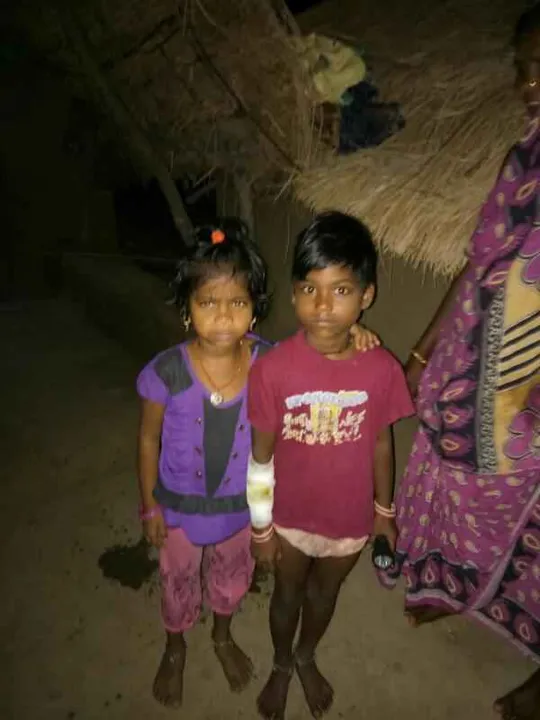  6-year-old girl saves elder sister from crocodile in Odisha