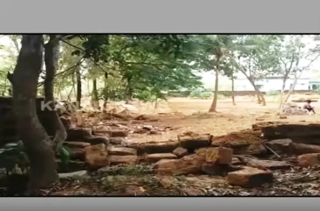  Elephant herd storms into college premises in Odisha