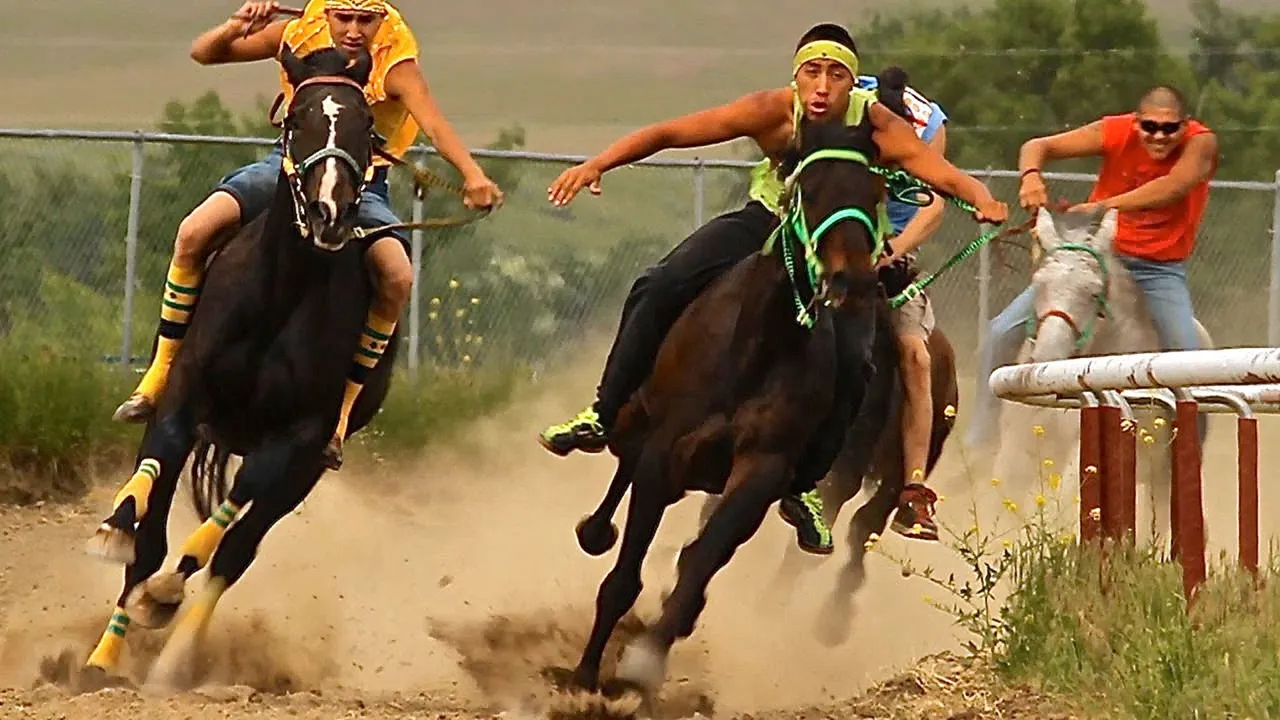  Bengaluru racing horses 'fail' dope test