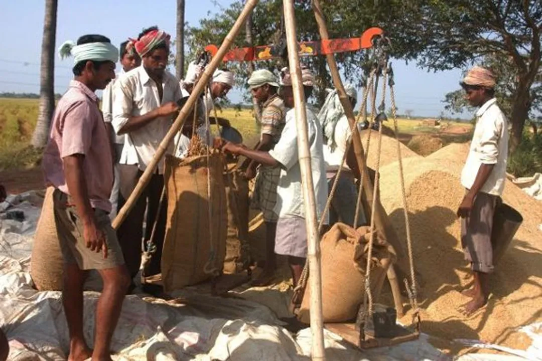  Odisha again demands for hike in paddy MSP to Rs 2,930