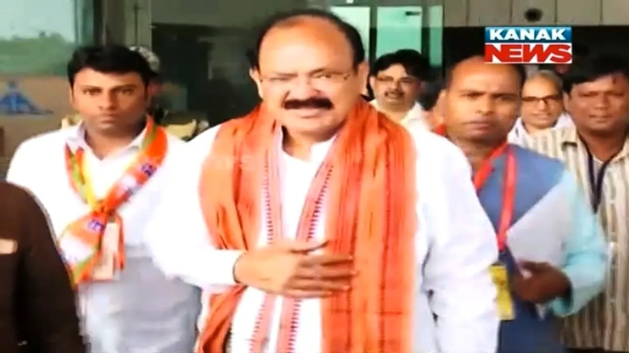  File pic 