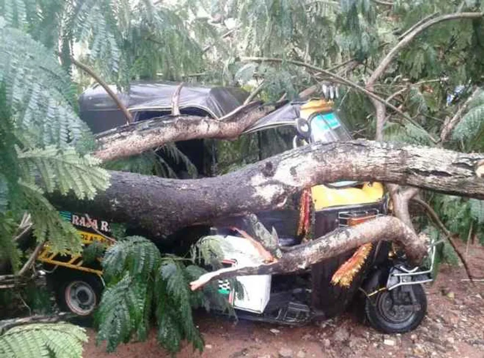  Nor’wester brings Odisha's capital city to halt