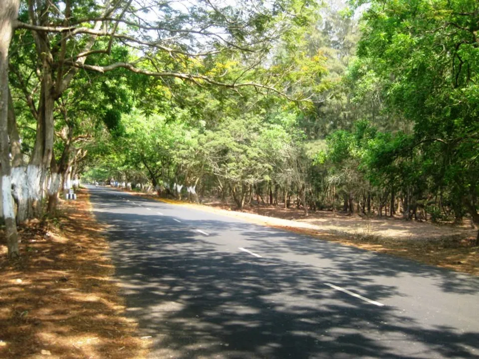  Centre declares part of Odisha's Balukhand-Konark Sanctuary eco-sensitive zone