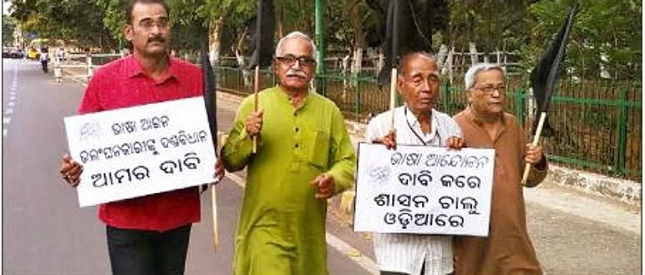  Finally, Odisha CM meets Bhasha Andolan activists