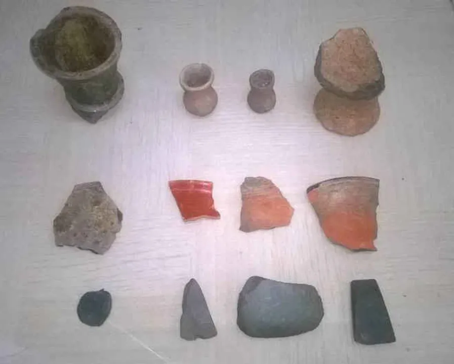  Copper Stone Age civilisation discovered on Prachi River banks in Odisha