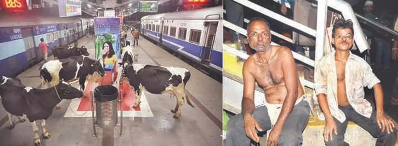  Cow vigilantism: GRP arrest two Bajrang Dal activists in Odisha capital