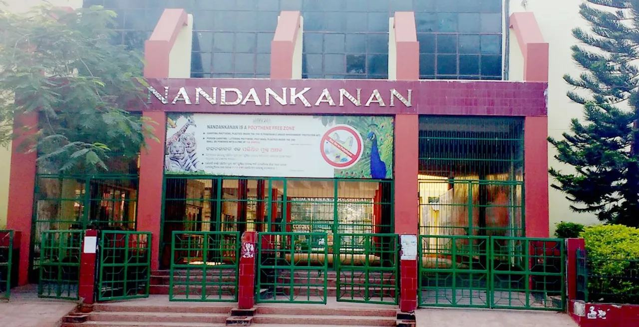  Anaconda, giraffe among new guests at Odisha zoo soon