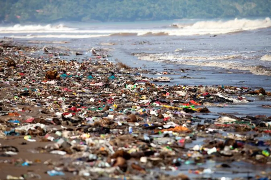  First pollution early warning system aims to cut deaths, health hazards