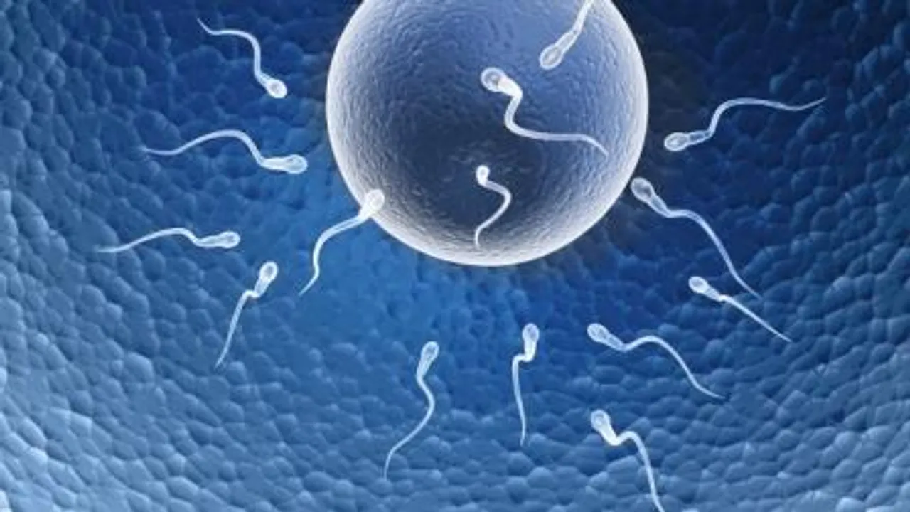  Anxious about COVID-19? Stress can hamper sperm quality