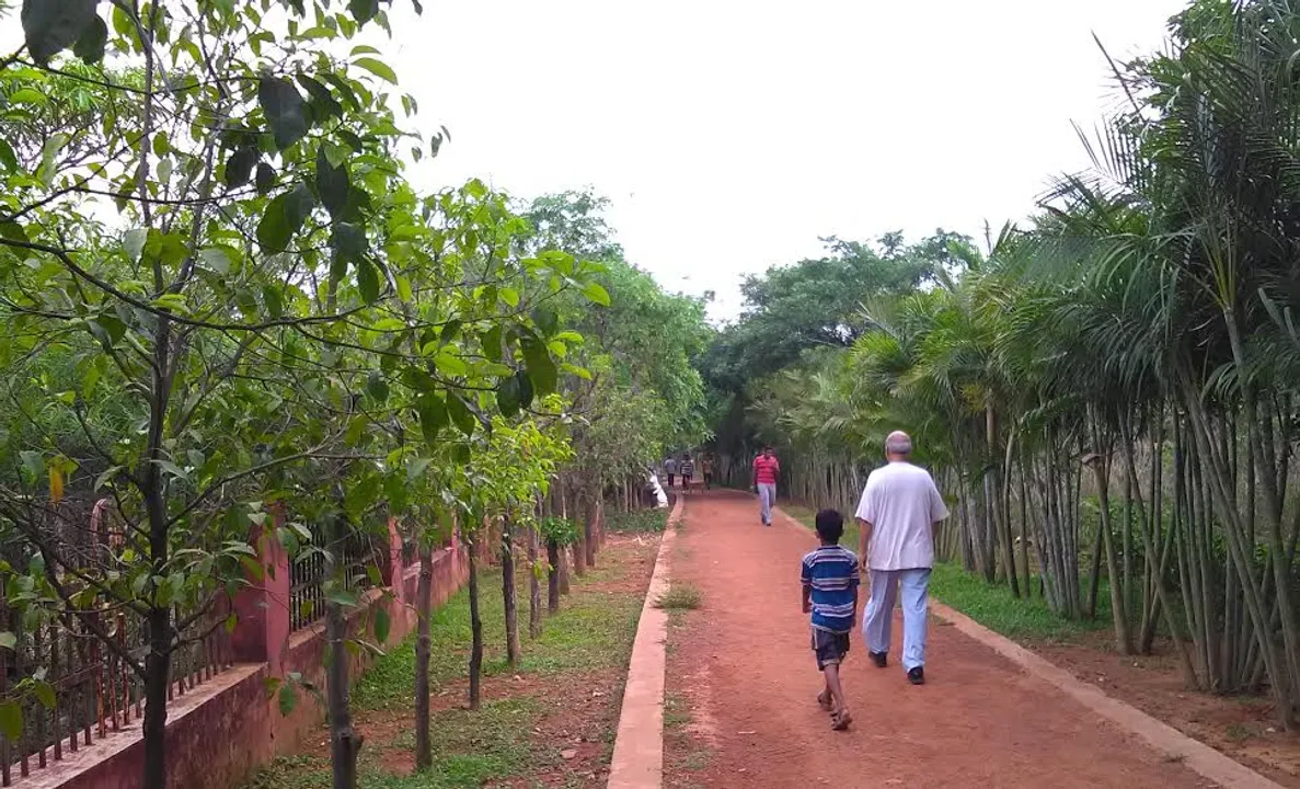  Odisha govt saved 700 trees by switching over to paperless