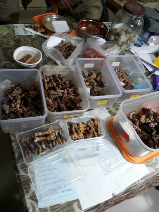  Racket dealing with wild animal body parts busted in Odisha capital