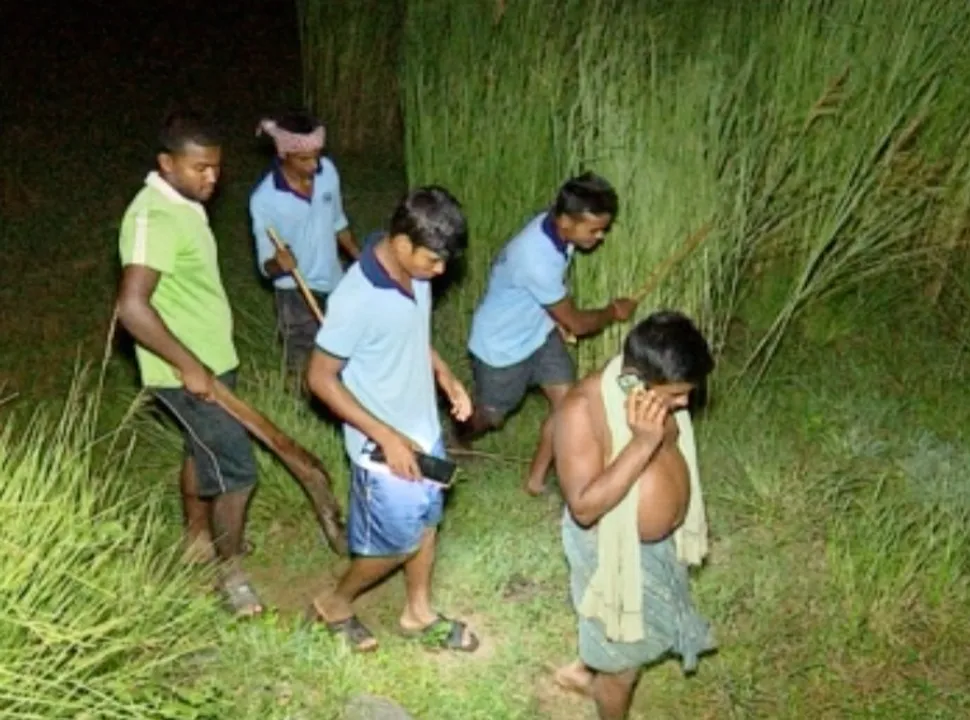  Odisha village under CCTV scanner to spot mystery animal