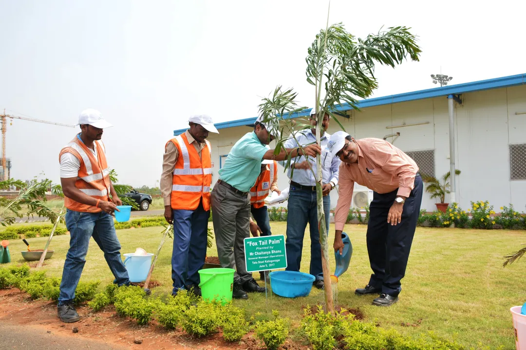  Tata Steel observes World Environment Day in Odisha plants