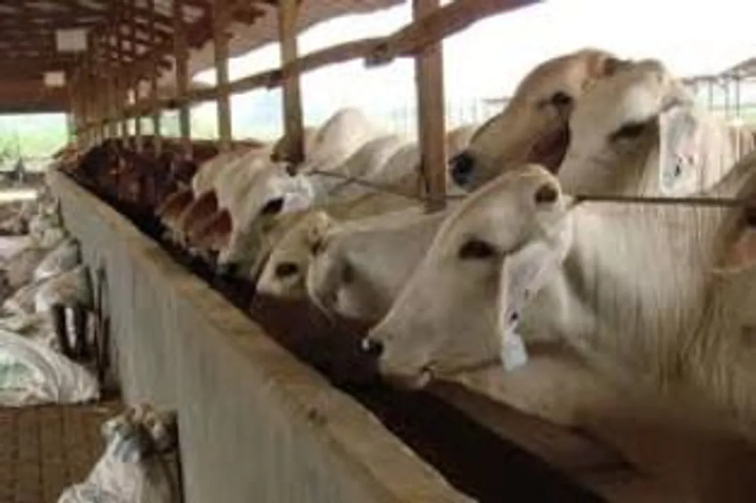  Harsh Vardan: The government does not desire to alter food habits of the people