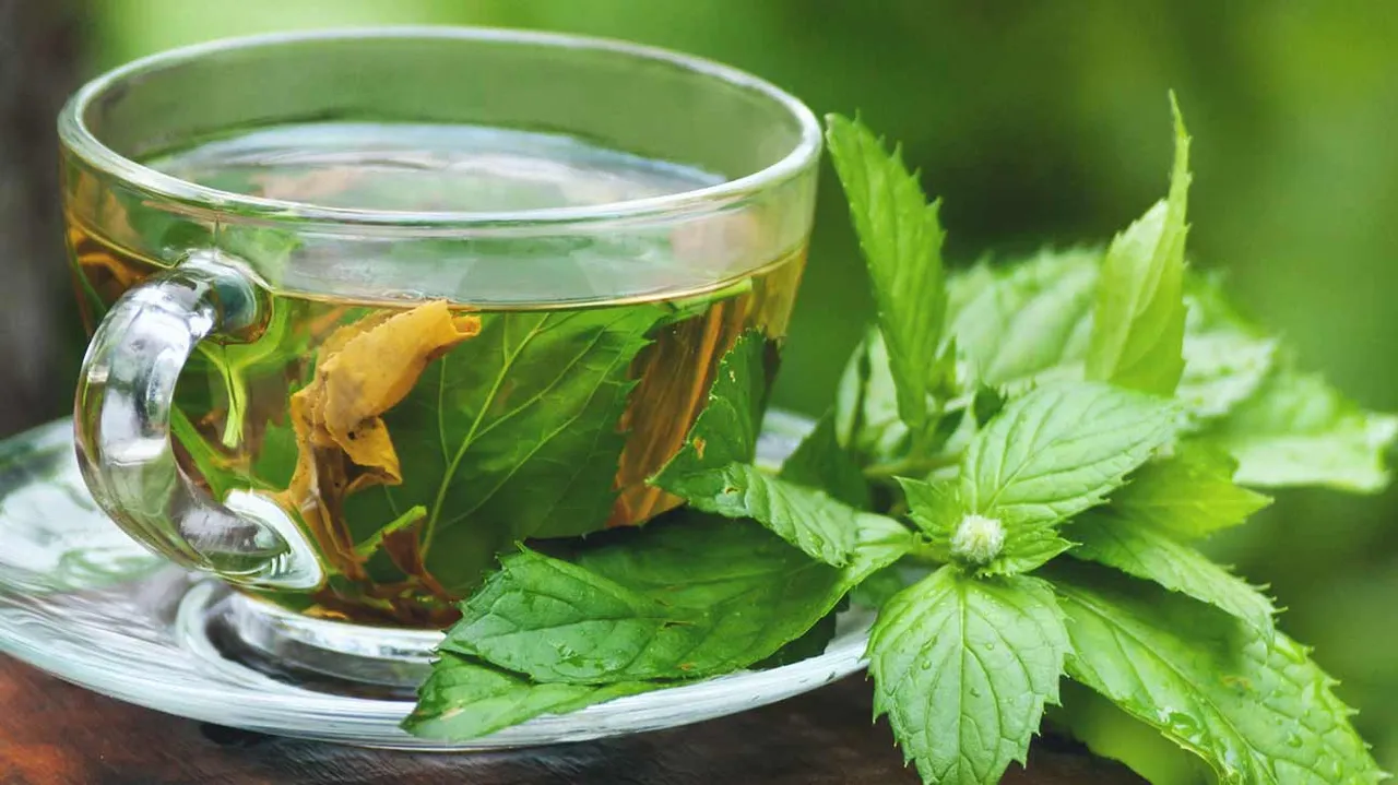  Get healthier with these herbal drinks this monsoon