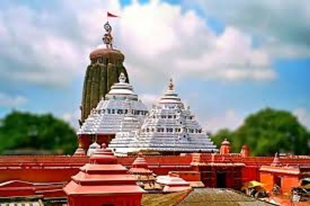  Odisha: SERIFED provides Basungapatta for Ratha Yatra, other rituals of Jagannath temple