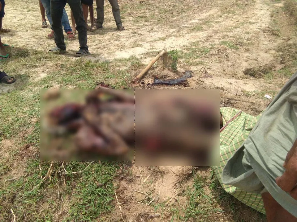  Farmer electrocuted while working in field in Odisha