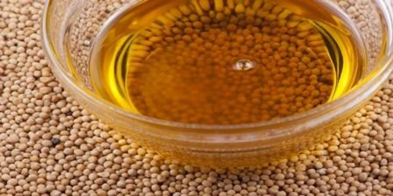  'Approving GM Mustard would be wrong decision'