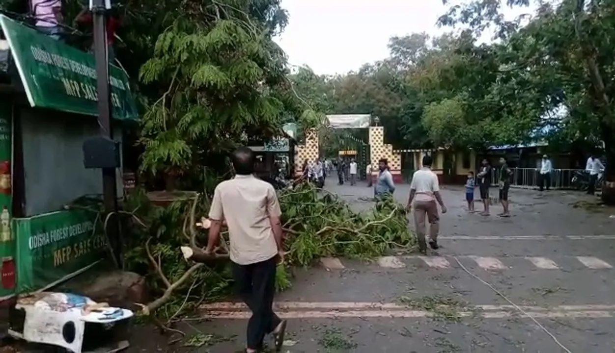  Nature's fury: Tourists’ entry to Nandankanan barred for two days