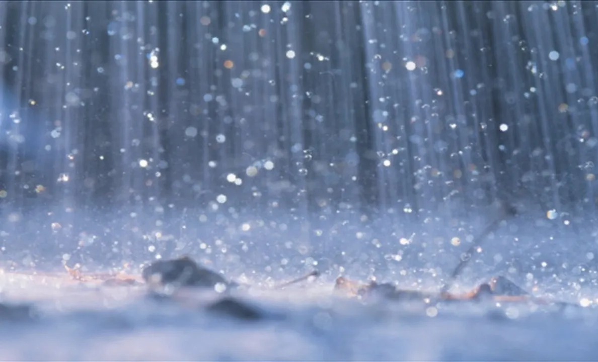  Weather alert! Heavy rain to lash these Odisha districts in next 24 hours