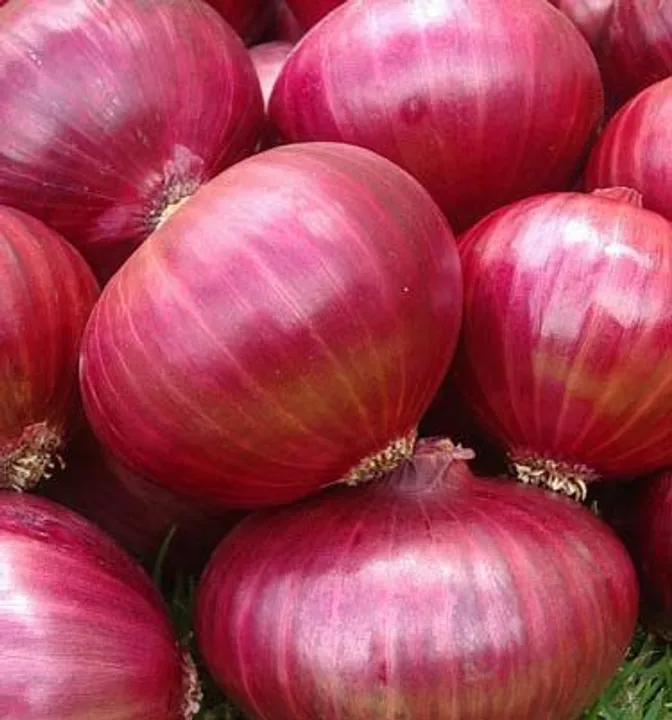  Eating red onions may help fight off cancer