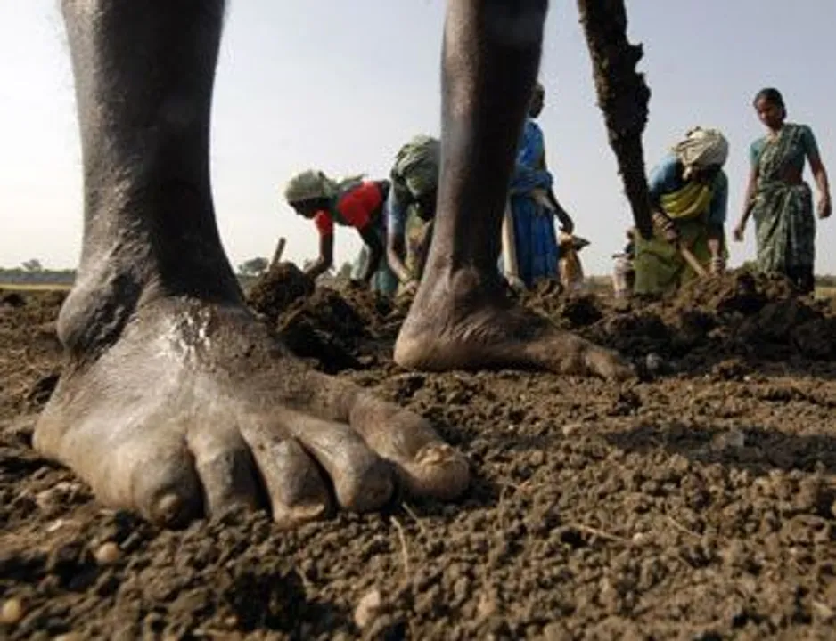  Odisha tribal worker returns home as physically challenged after 5 yrs