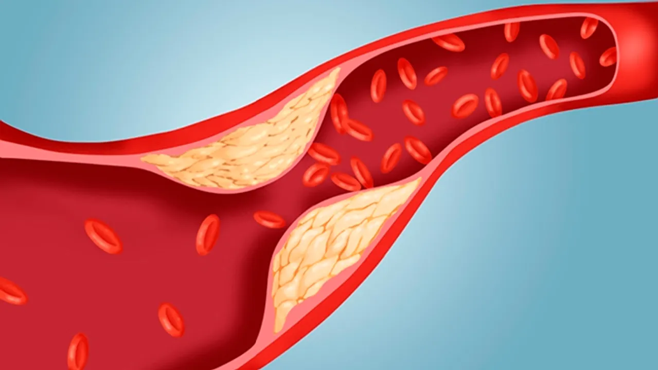  Calcium in cell moderates cholesterol