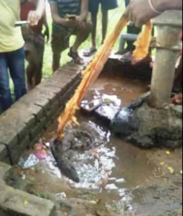  12-yr-boy saves father from crocodile in Odisha
